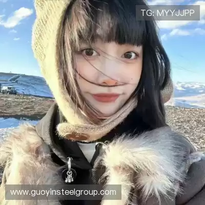 孙飞翰